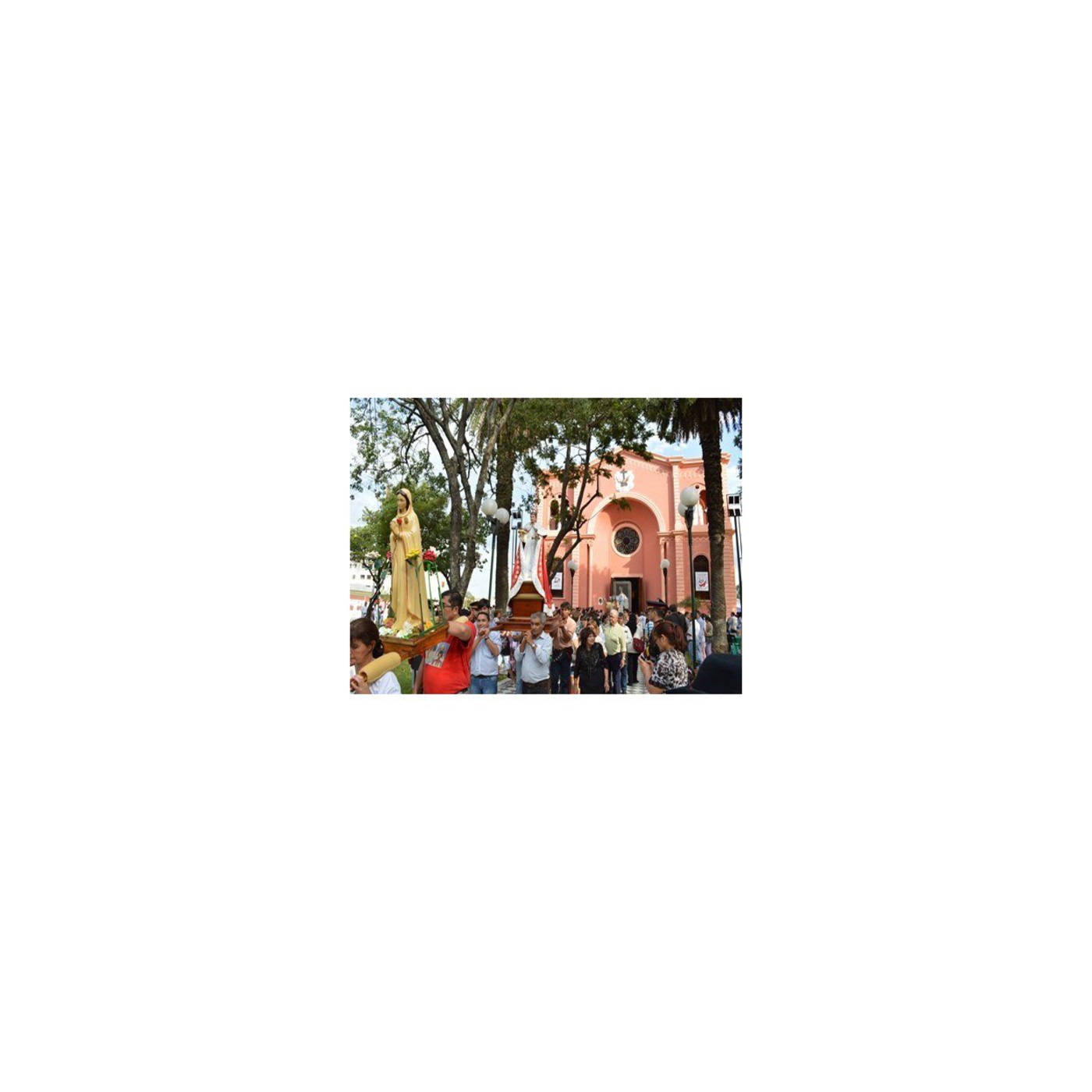 Novena y Fiesta 2014