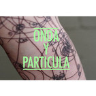 Podcast de Onda y Partícula