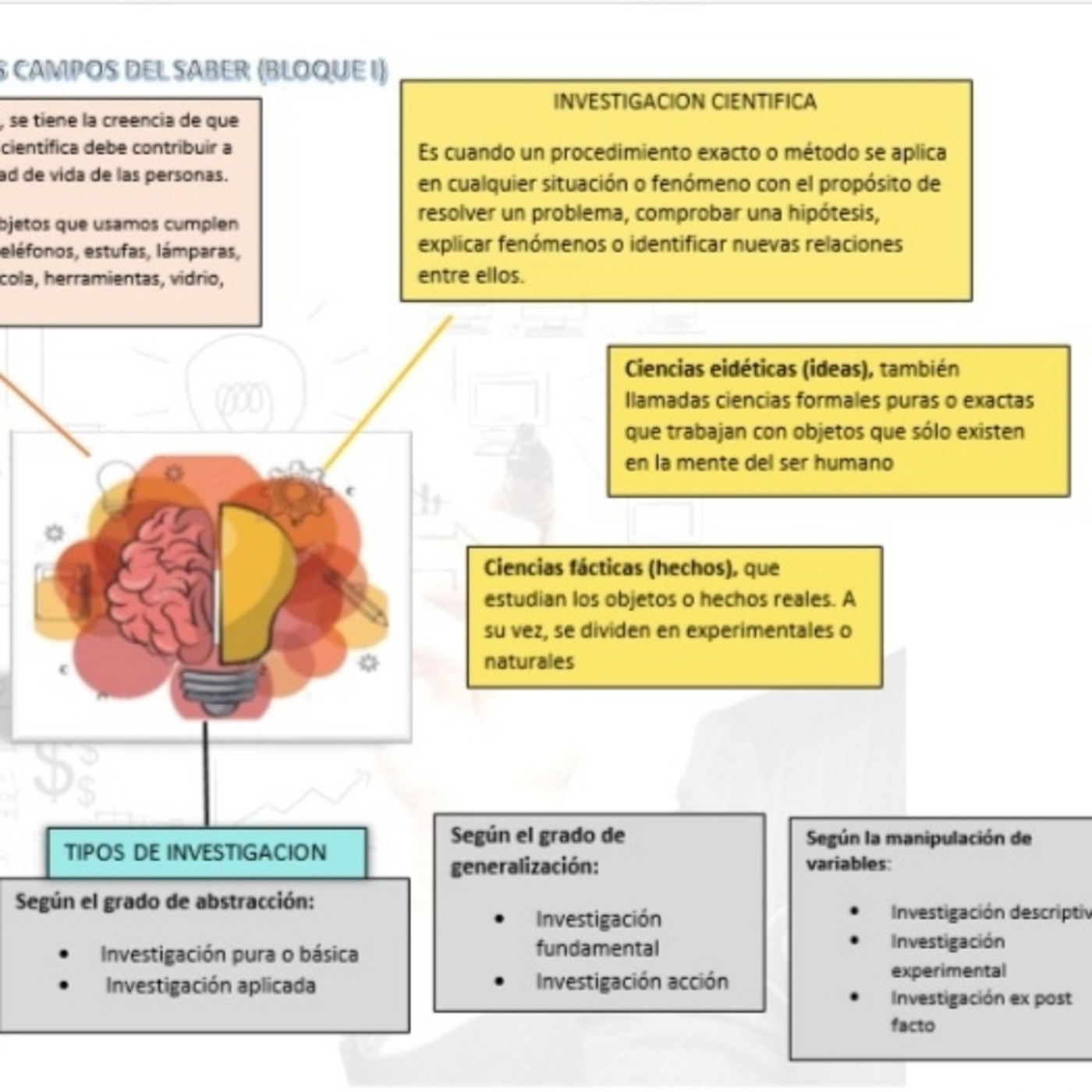 viviana ross cardona