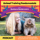 04 - Tiger Training Gone Viral