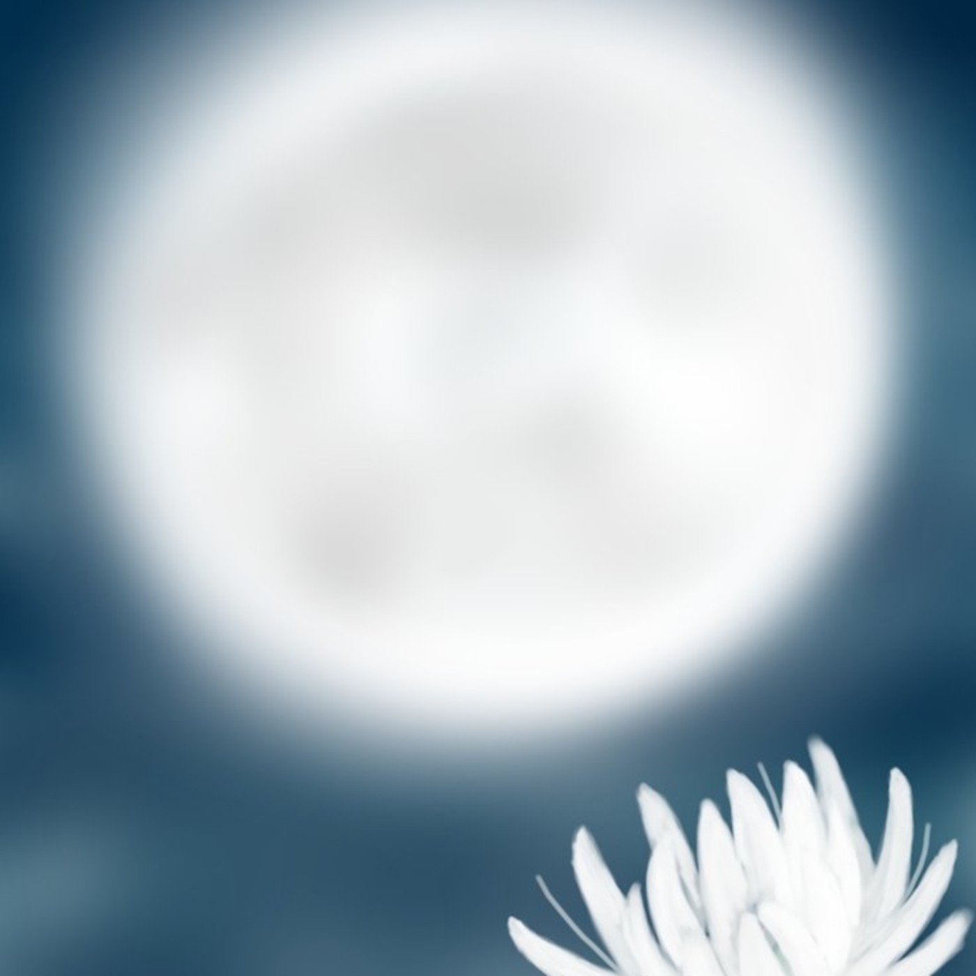 Flor de luna