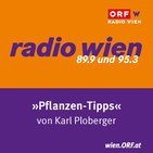 Radio Wien Pflanzentipps (13.09.2019)