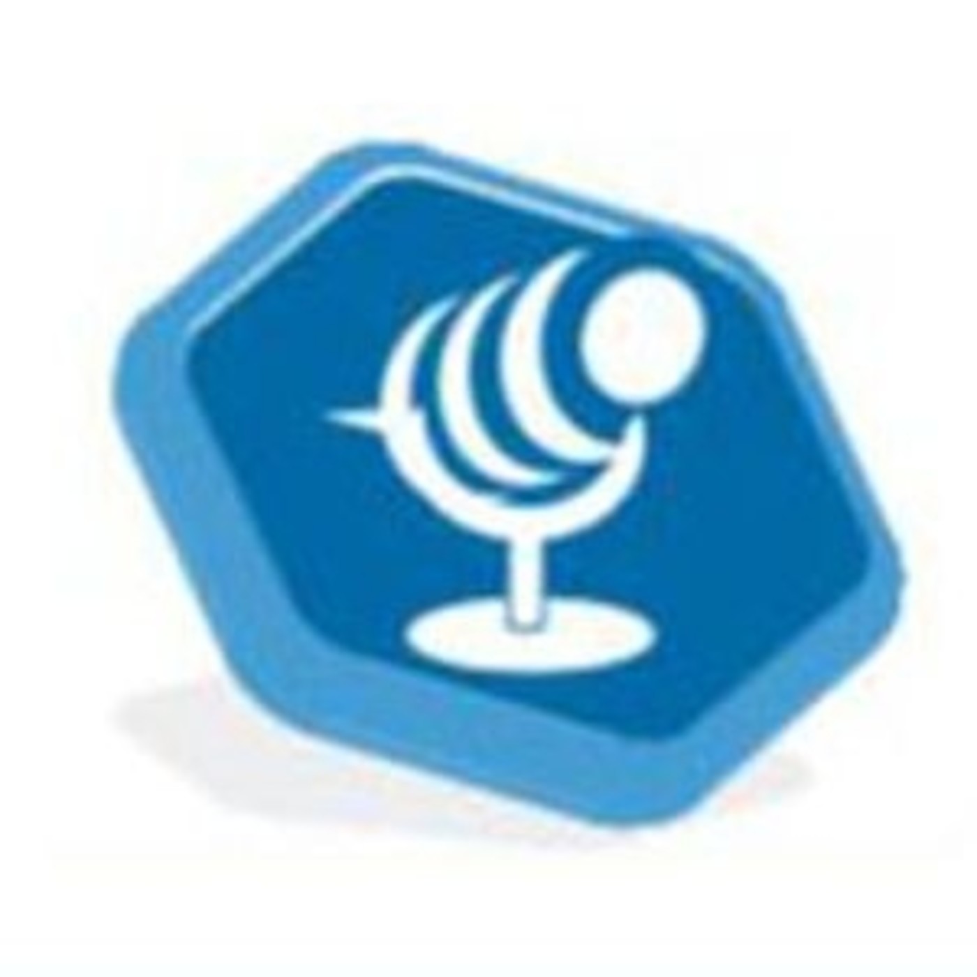 Campo y Abejas radioweb Programas Completos