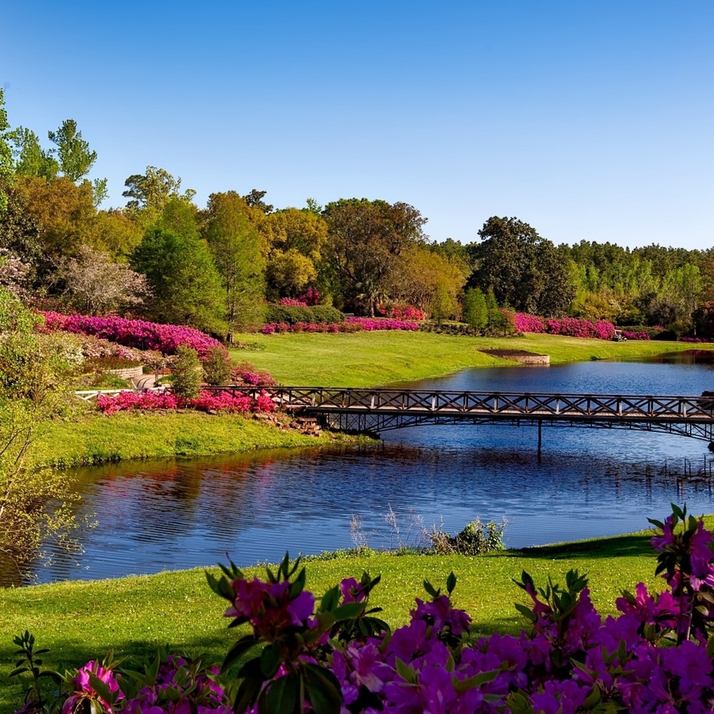 Abelardo José Quijada Pinar