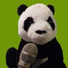smallVOICE podcast – February 2019