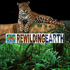 Episode 30: Dan Imhoff on Making Farming More Creaturely