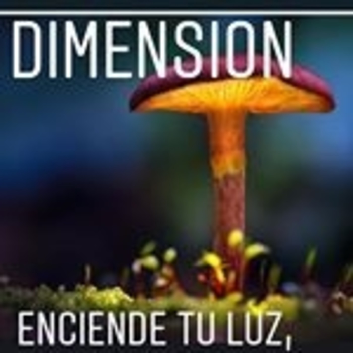 VIAJES INTERDIMENSIONALES