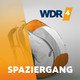 Auf der Spur der Römer