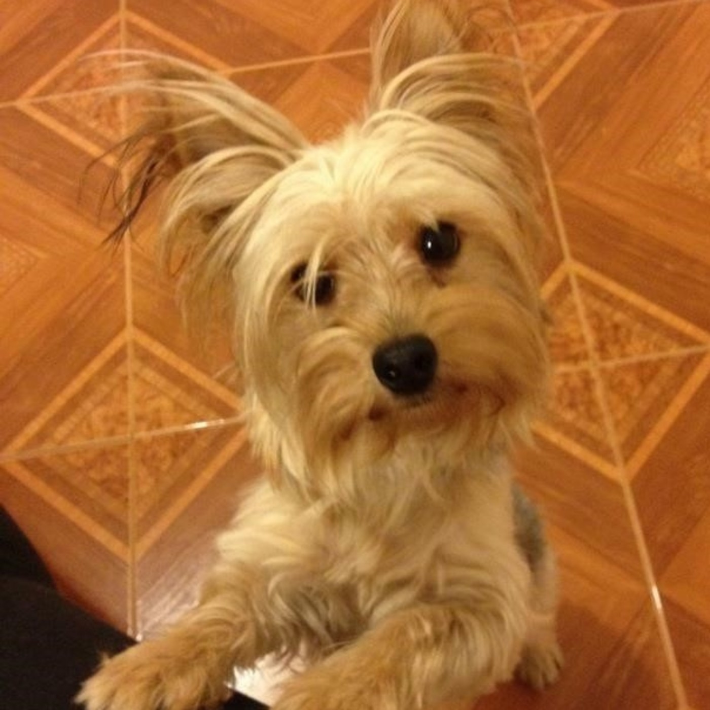 modificaciones en la afectividad