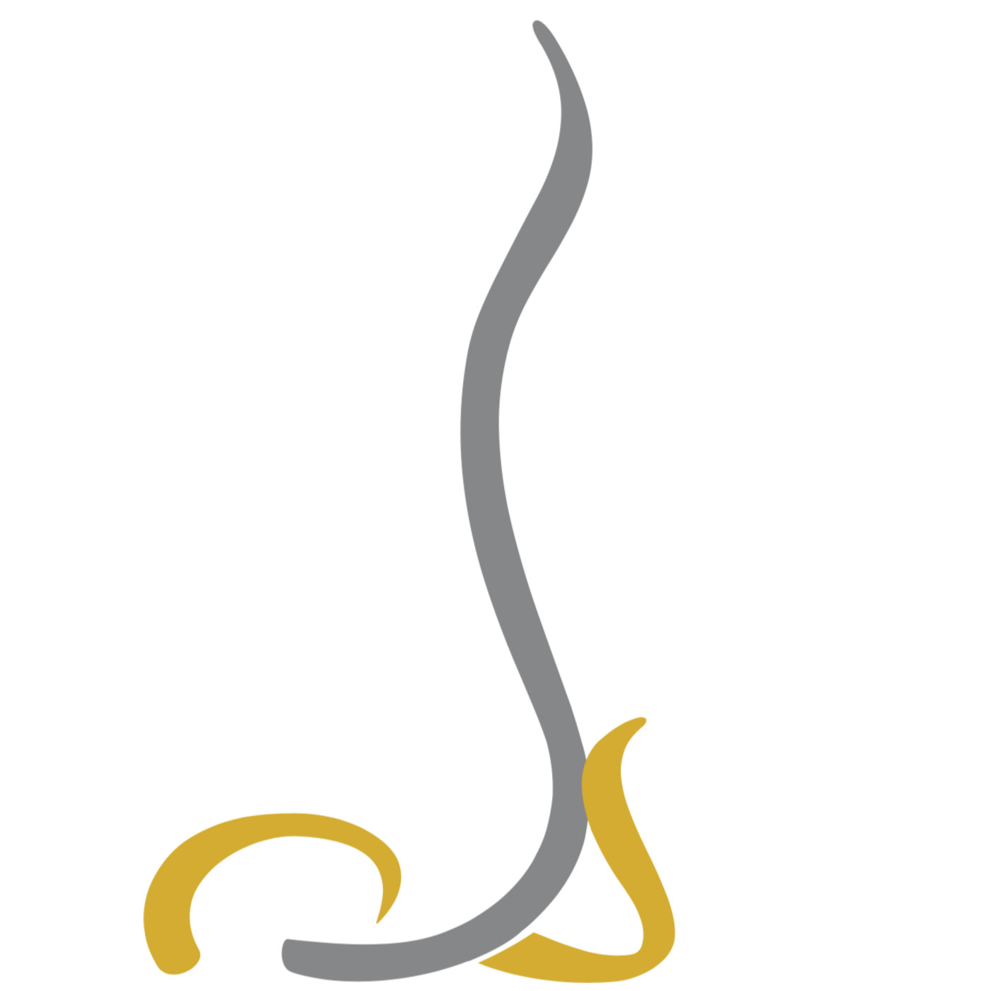 Javier Alonso | Entrenador