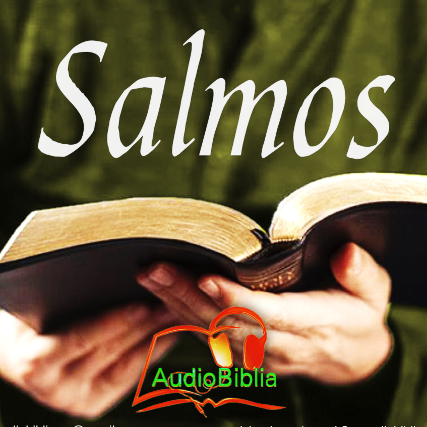AT-19 Libro de los Salmos, AudioBiblia