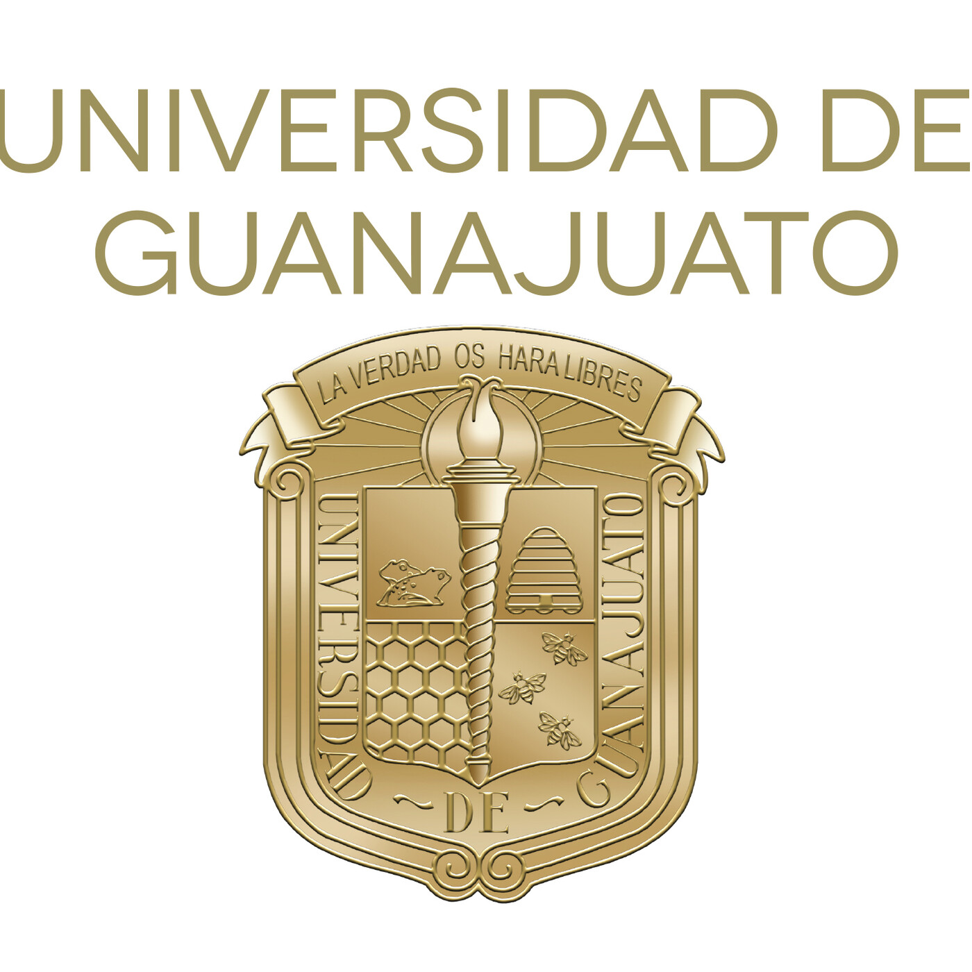 Coordinación de Medicina Interna UG