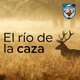 El flamenco mira a la caza