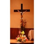 embed image