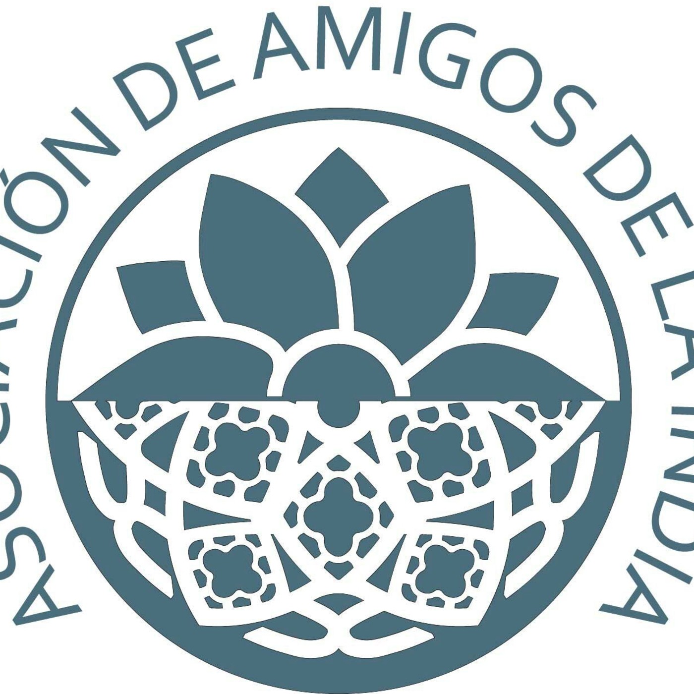 AMIGOS INDIA-Conferencias
