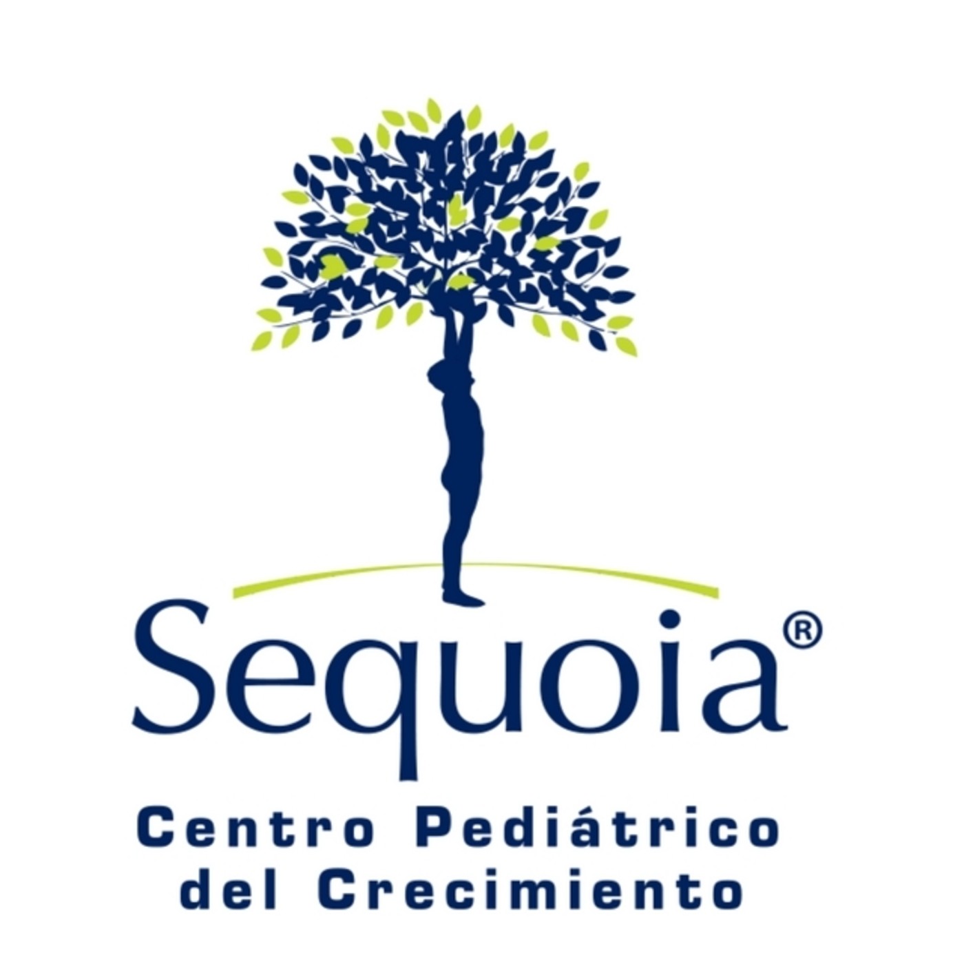 Centro Sequoia
