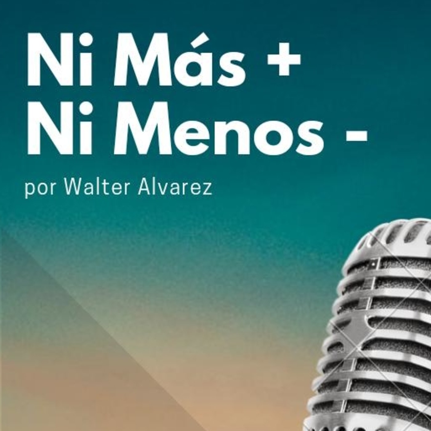 Ni Más + Ni Menos -