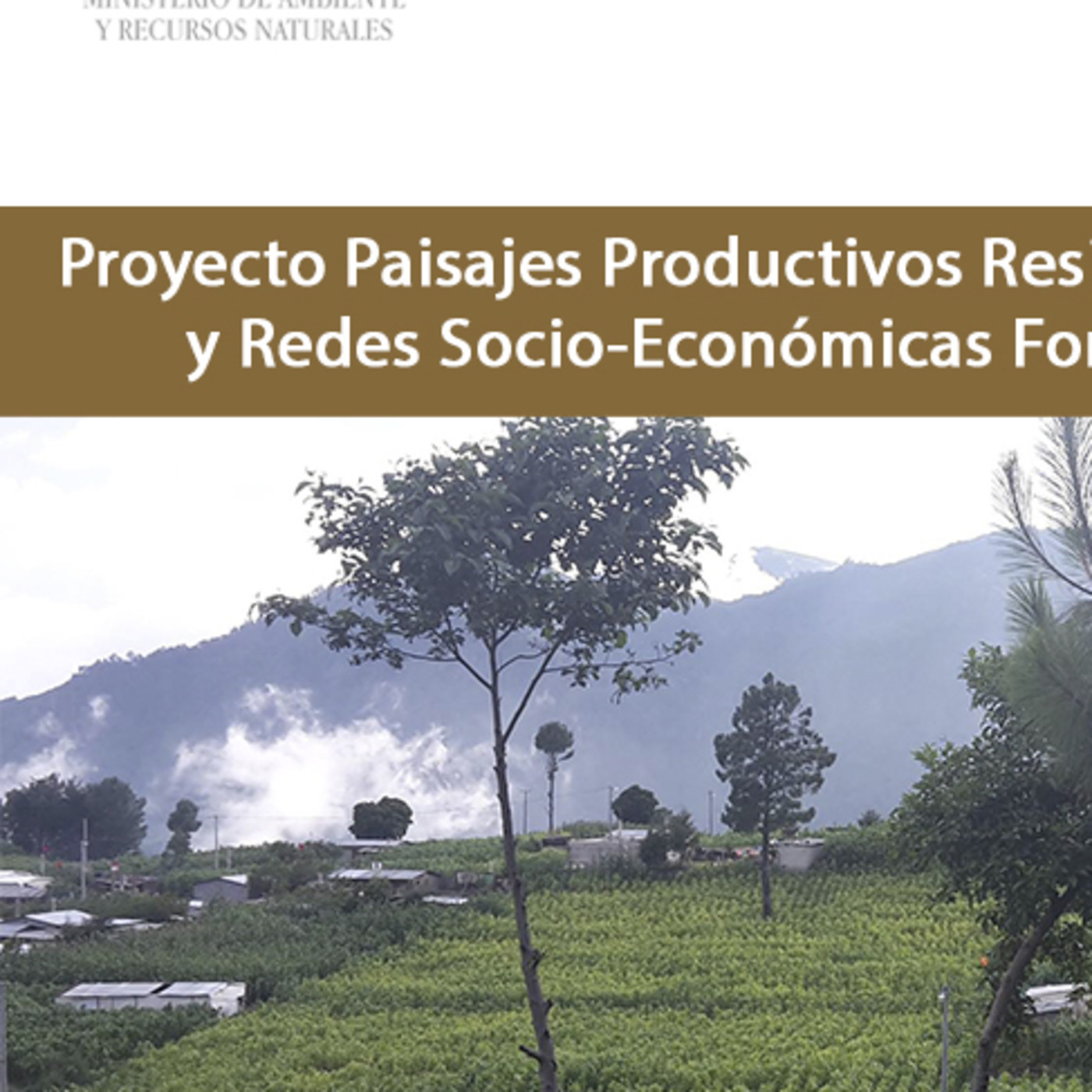 Cuarto mes campaña Marn Pnud  Semillas Criollas