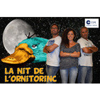 La nit de l'ornitorinc (COPE Catalunya)