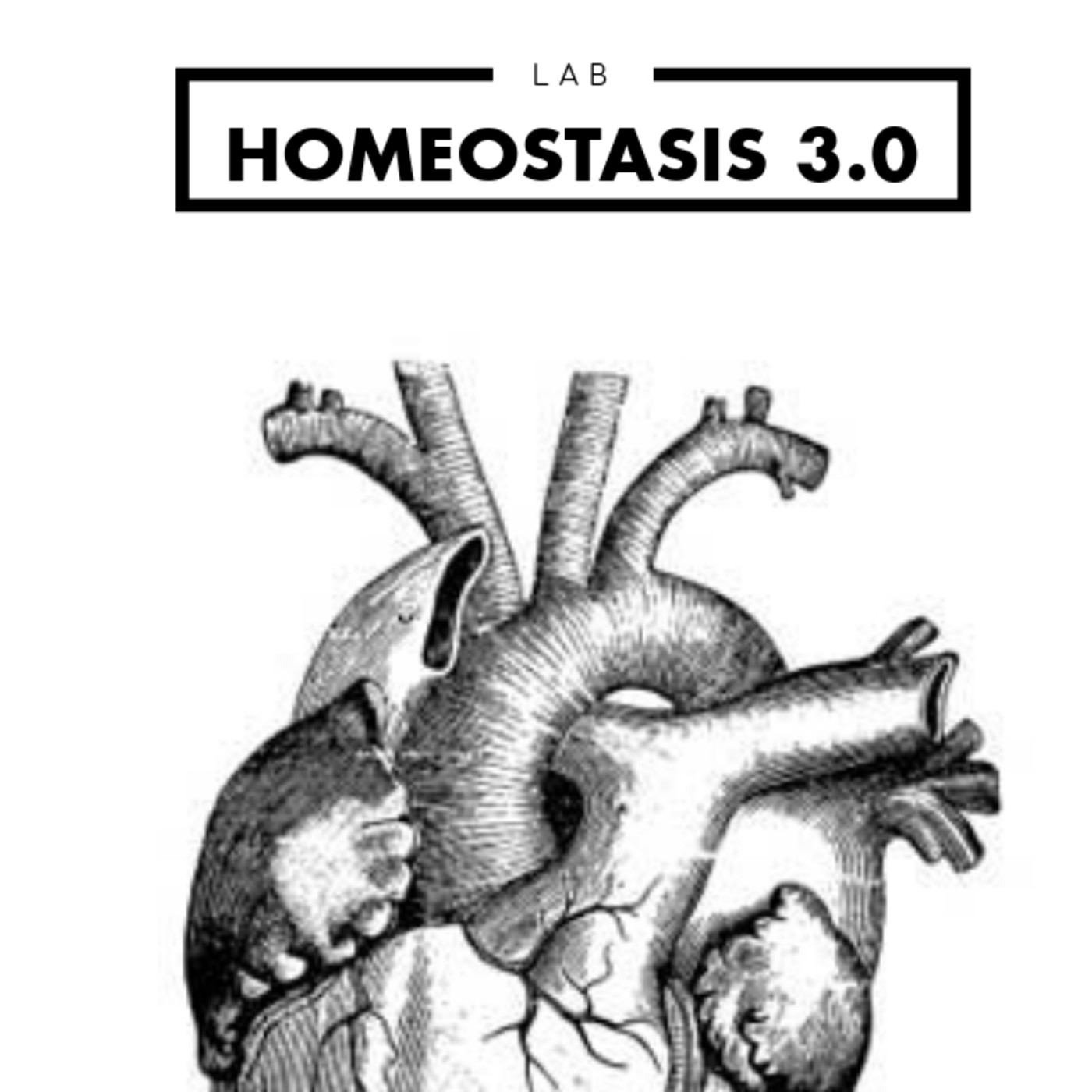 Escaperoom fisiología