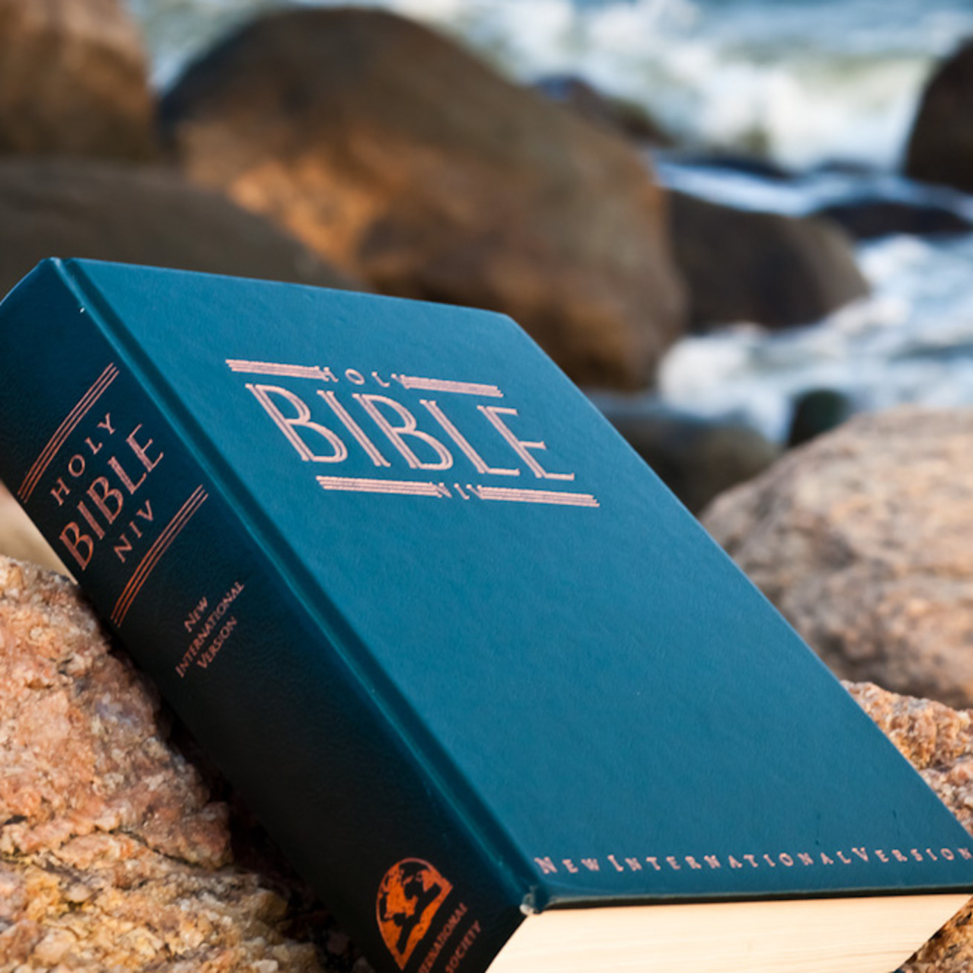 Proposito Divino del Dinero 