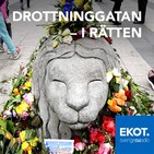 Drottninggatan i rätten – avsnitt 3