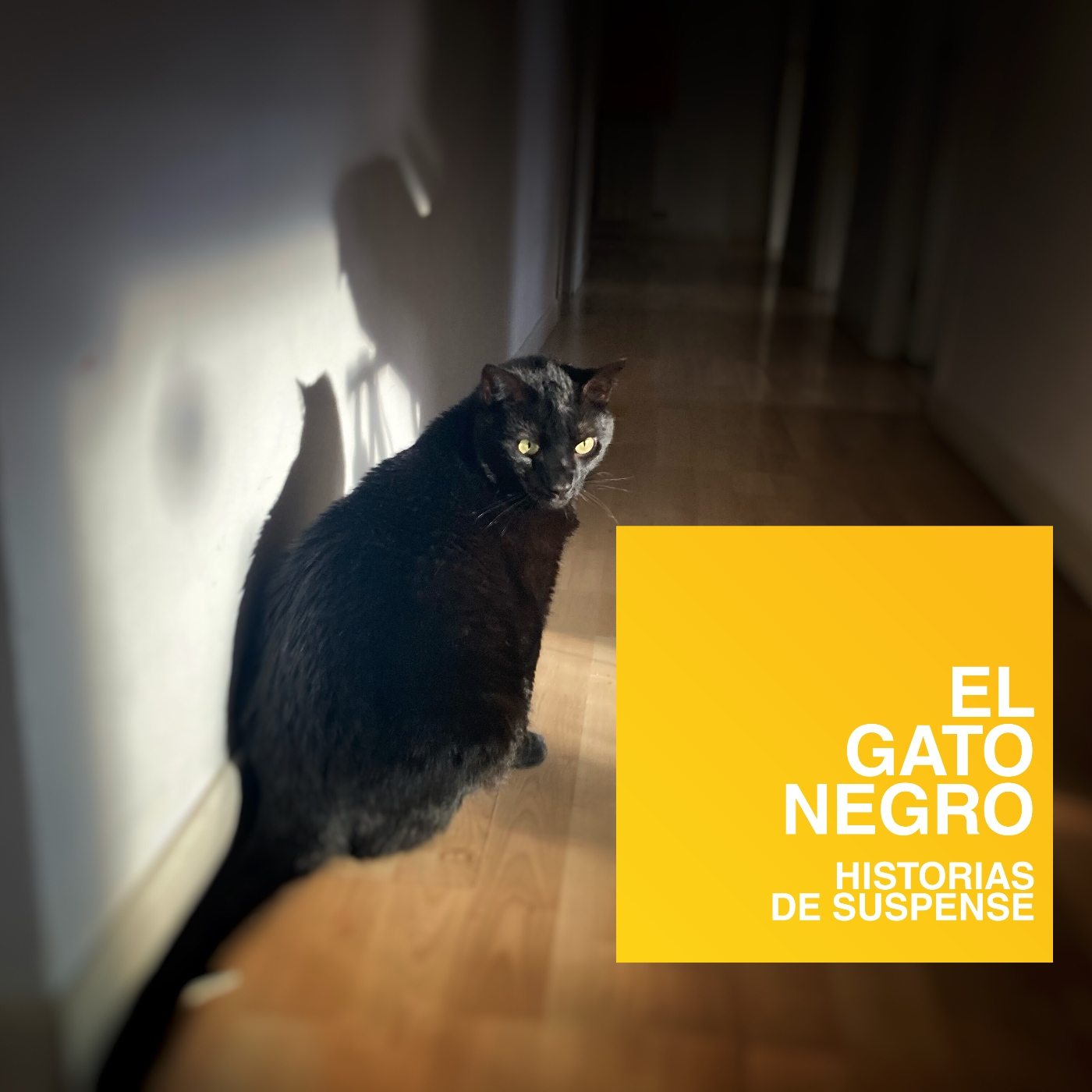 El gato negro - Historias de suspense podcast artwork
