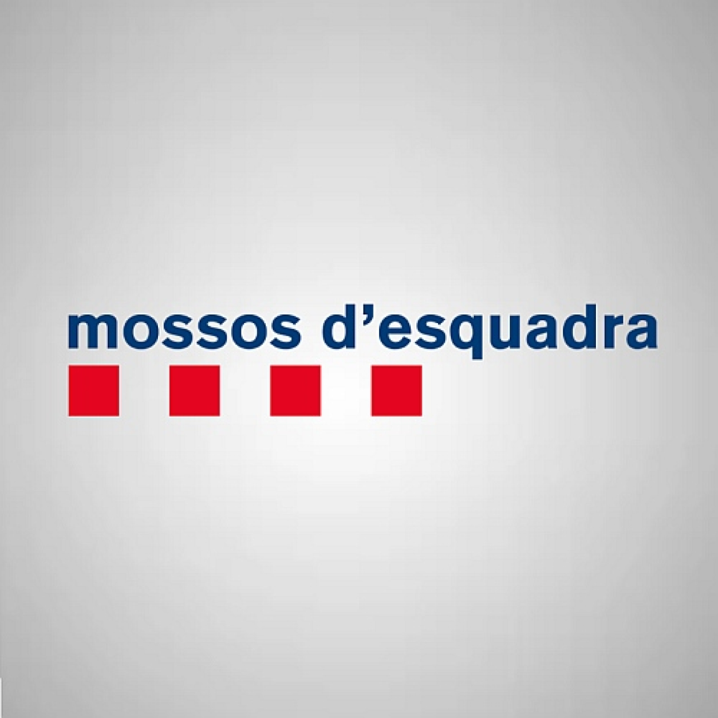 Consells de Seguretat – 01 – Les denúncies