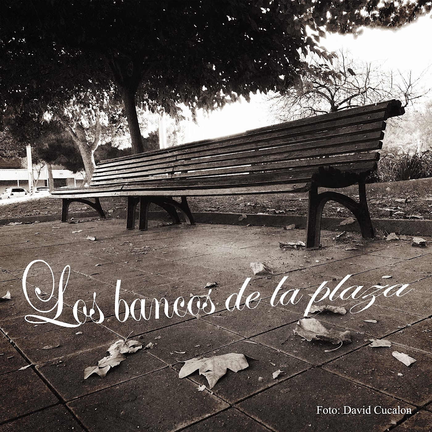 Los bancos de la plaza