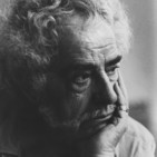 Poesia y literatura