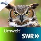 Schildkrötenfakten zum Weltschildkrötentag