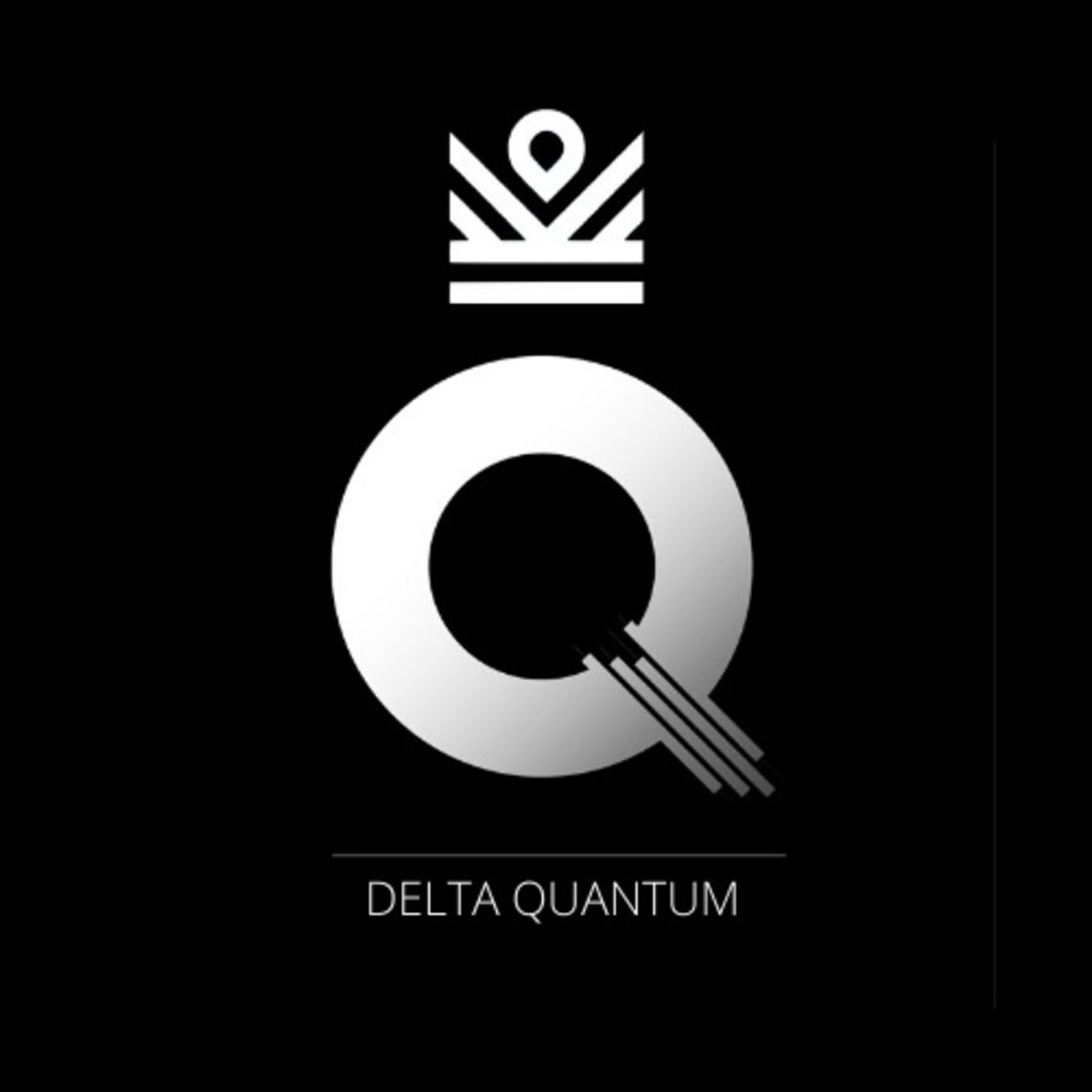 Primeros pasos en Delta Quantum