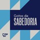 Gotas de Sabedoria: a busca de visão
