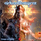 DISCO LP: TEMPLE OF MANTRA (2014)