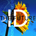 ID Inquiry: Robert Marks on Information