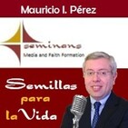 Las Cartas Paulinas, ¿Cuántas Son y Quién las Escribió?