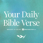 5 Truths to Know About Psalm 119