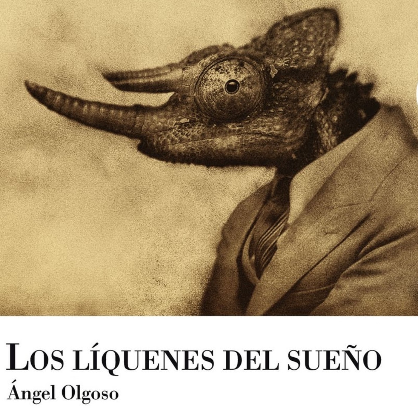 Ángel Olgoso - Los líquenes del sueño