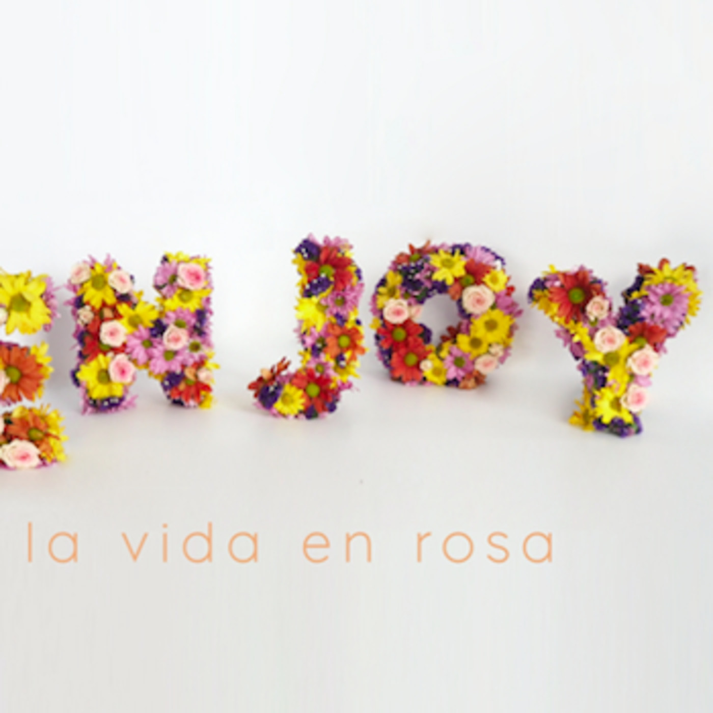 EnJoy La Vida en Rosa: CONVERSACIONES