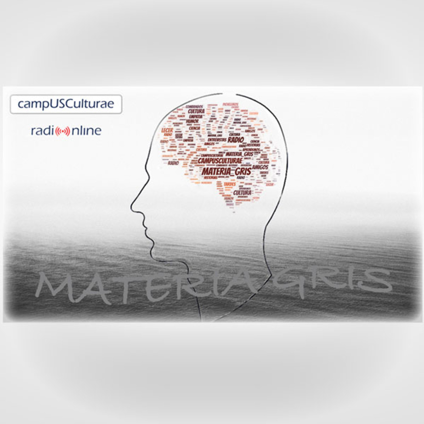 Materia Gris