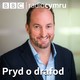 Tomos Dafydd