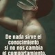 Conectores tato lizardi