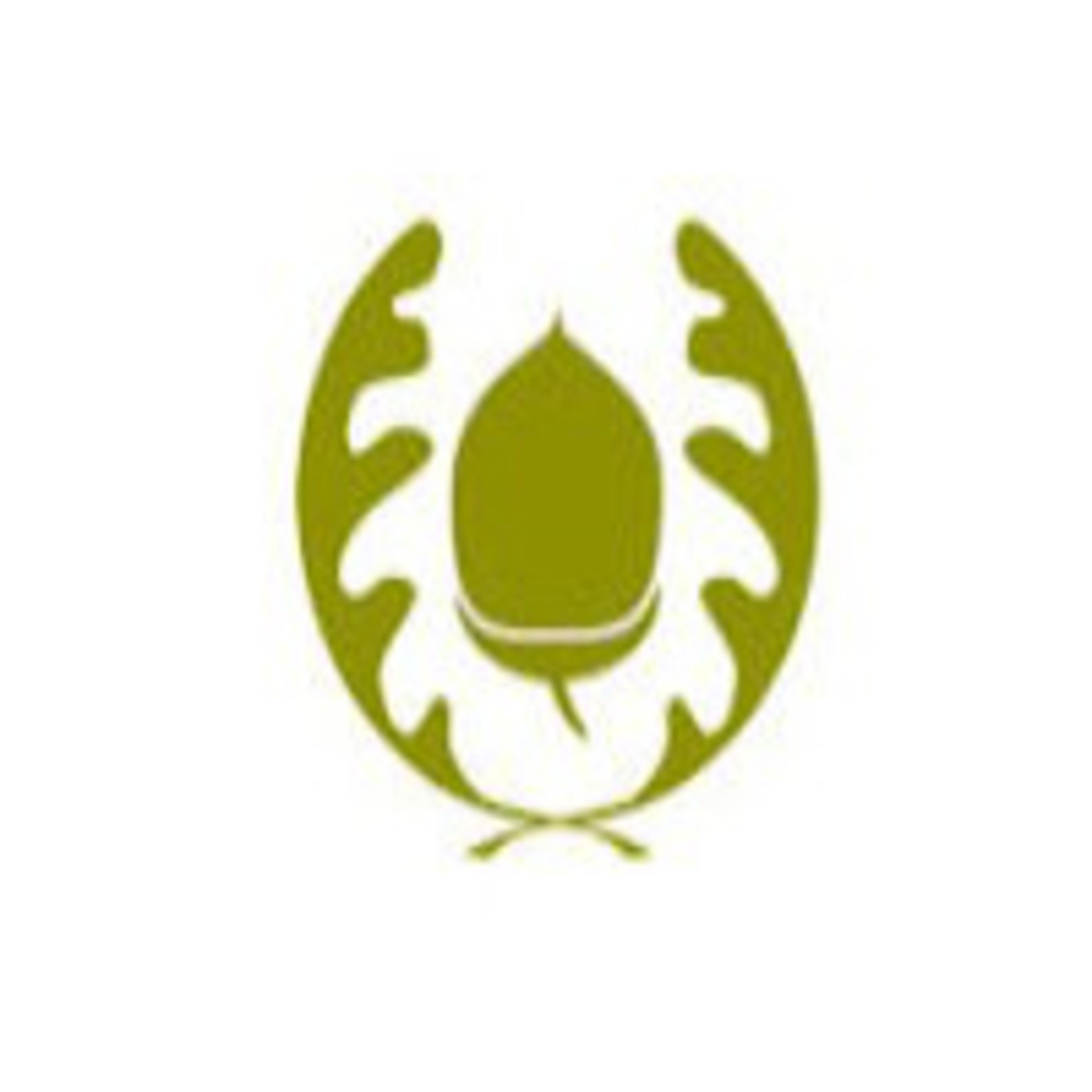 Podcast Monedas Complementarias