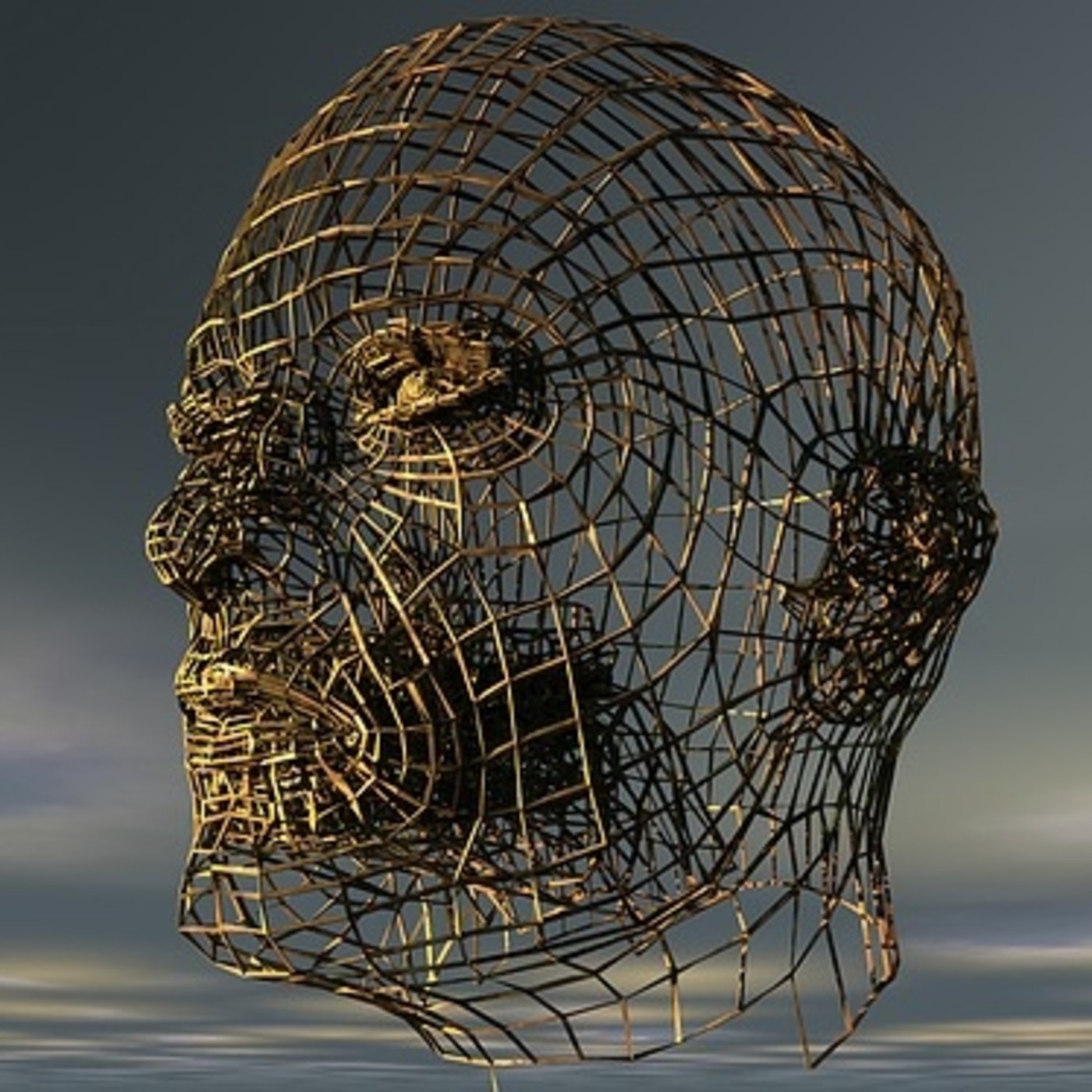 Experiencias desde dentro