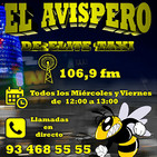 El avispero nit, elite taxi 22.02.2019