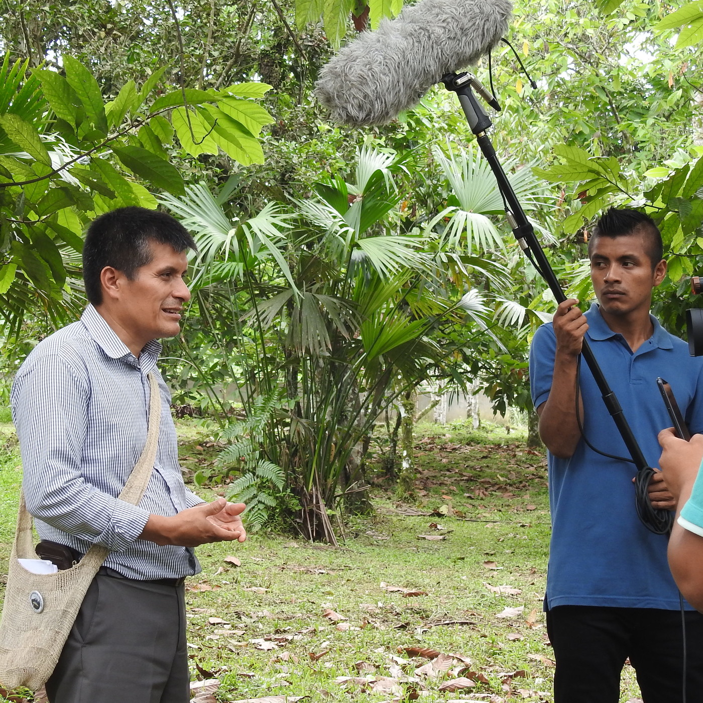 Palabra Dulce:Sabiduría de la lengua madre.