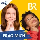 Zählung der Wintervögel 2020