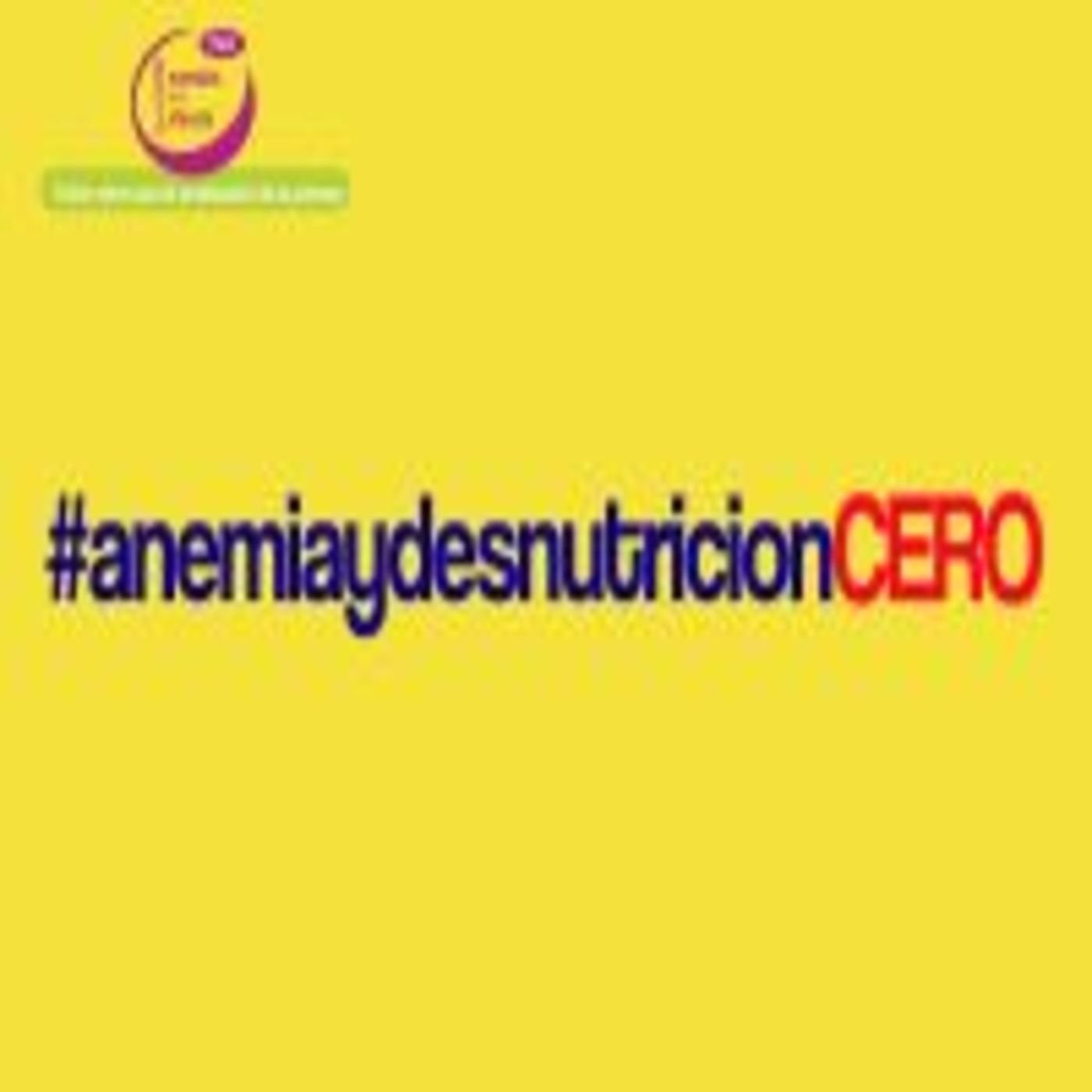 Alianza contra la Anemia Infantil