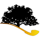 embed image
