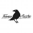 fermin castro